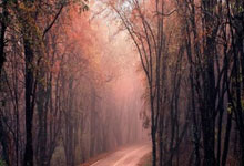 九游体育亚洲官网-斯图加特官方宣布换帅  新帅正式接任球队主帅一职，斯图加特足球俱乐部百科