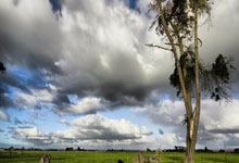 九游体育官网入口-欧洲杯冠军史上最惨痛失利，斯图加特遭遇升班马连败血洗，欧洲杯图示