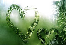 九游体育官网-广东获胜，终止败局，迎来转机：逆境中的崛起之路