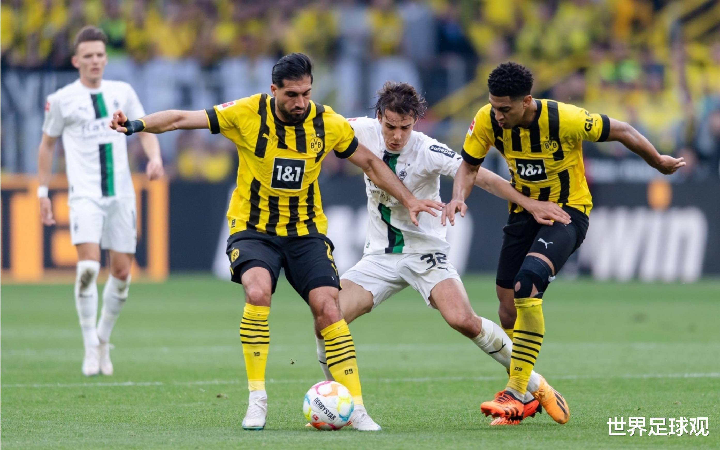 霍芬海姆主场连续失利难寻胜利的简单介绍