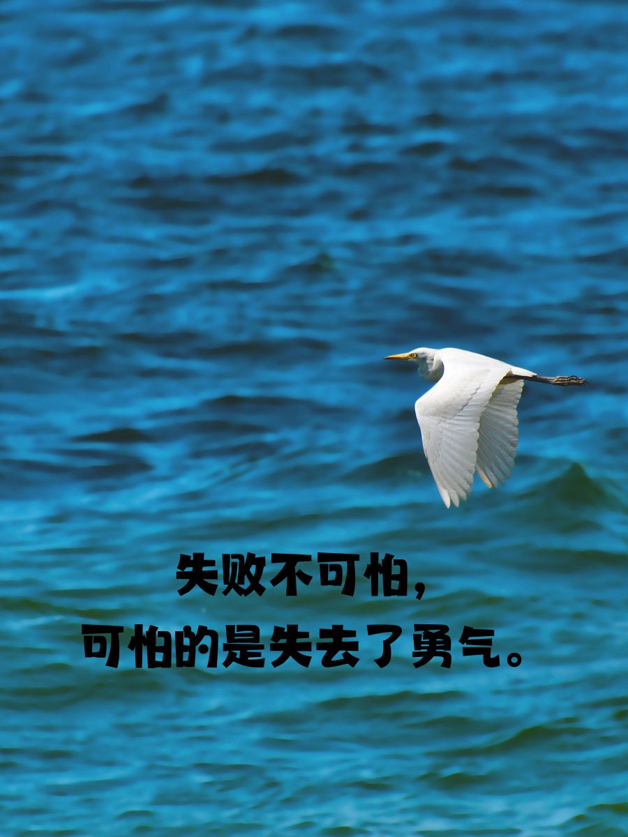 九游体育入口-追赶领先对手，努力追求胜利